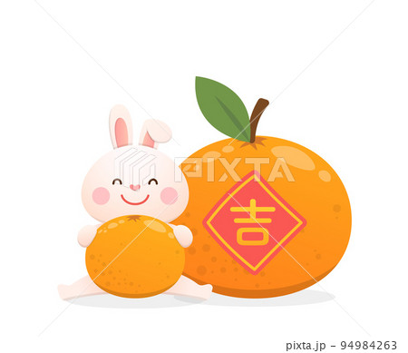 バニー うさぎ 子うさぎ 94984263