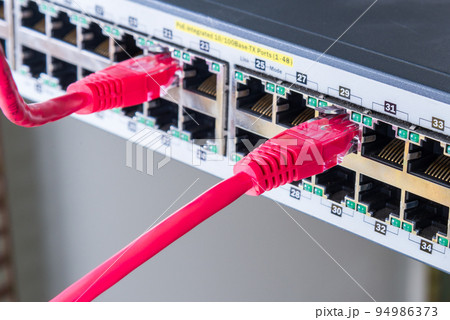 red ethernet cable plugged in internet switch red ethernet cable plugged in internet switch 94986373
