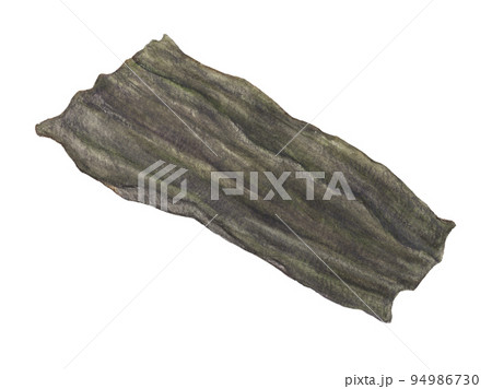 水彩色鉛筆で描いた昆布　背景透過 94986730