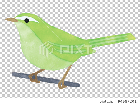 枝にとまる手書き風小鳥(ウグイス) 94987201