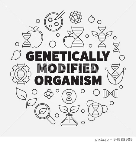 Genetically Modified Organism vector round line illustration 94988909