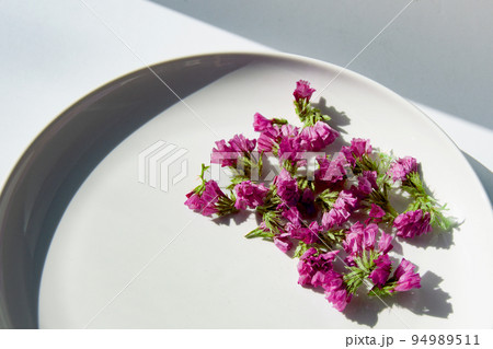 スターチス　ピンク 94989511