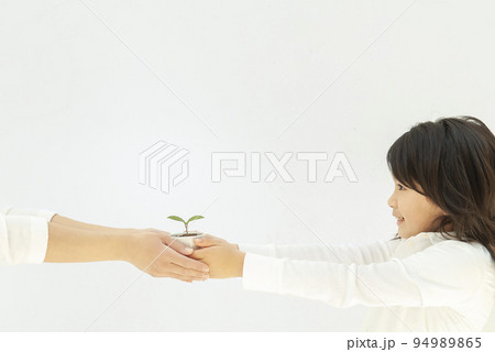 観葉植物を娘と母親 観葉植物を娘と母親 94989865