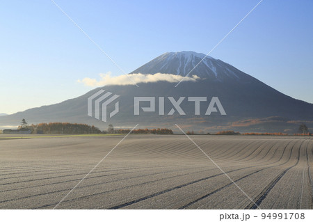 北海道倶知安町瑞穂から望む羊蹄山と霜の降りた畑 94991708