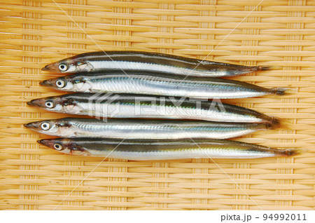 イカナゴ イカナゴ 94992011