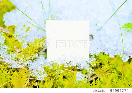 黄緑の苔の上に積もった雪を背景にした冬のメッセージスペースのモックアップ 94992274