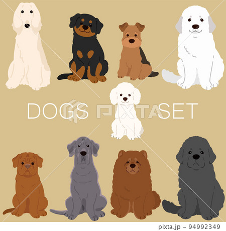 正面を向いてお座りするシンプルで可愛い犬のイラストセットG 　主線なし 94992349