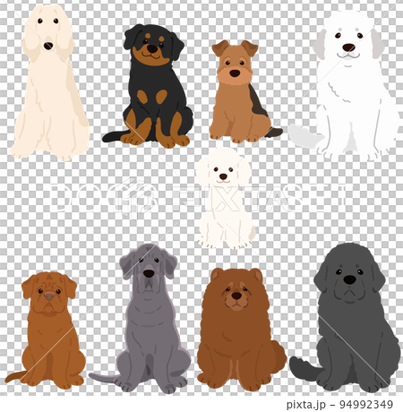 正面を向いてお座りするシンプルで可愛い犬のイラストセットG 　主線なし 94992349