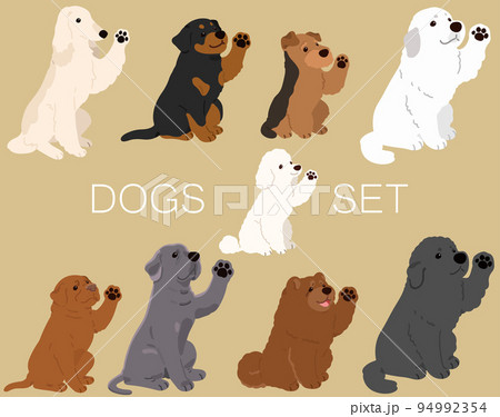 お手をするシンプルで可愛い犬のイラストセットG 主線なし お手をするシンプルで可愛い犬のイラストセットG 主線なし 94992354