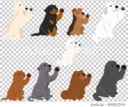 簡單可愛的狗插畫集G無主線 94992354