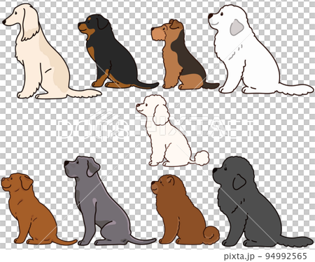 横を向いてお座りするシンプルで可愛い犬のイラストセットG 　主線あり 94992565