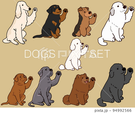 お手をするシンプルで可愛い犬のイラストセットG 　主線あり 94992566