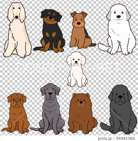 插圖集 G 一隻簡單可愛的狗,正面坐著,主線 插圖集 G 一隻簡單可愛的狗,正面坐著,主線 94992568