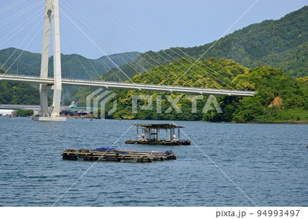 【京都府】釣り筏　舞鶴湾の海岸線　 94993497