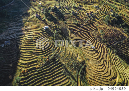 Ban Pa Pong Piang Rice terraces or Baan Pa Pong Pieng in Doi Inthanon national park, Chiang Mai Ban Pa Pong Piang Rice terraces or Baan Pa Pong Pieng in Doi Inthanon national park, Chiang Mai 94994089