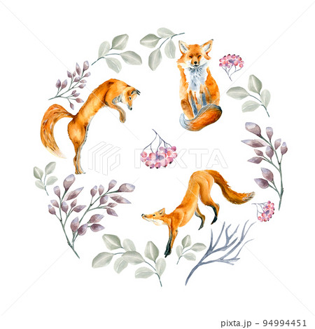 Christmas circle with foxes watercolor illustration isolated on white. Christmas circle with foxes watercolor illustration isolated on white. 94994451