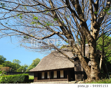 静岡県 　旧稲垣家住宅　10月 94995153