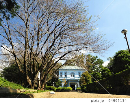 静岡県　旧杉浦医院　10月 94995154