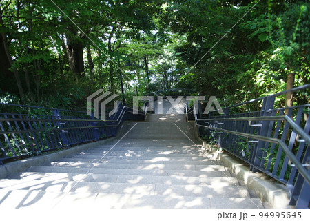 港の見える丘公園 フランス山地区山頂への階段 94995645