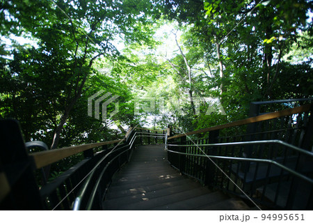 港の見える丘公園 フランス山地区山頂への階段 94995651