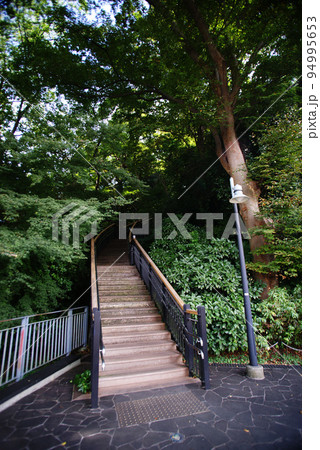 港の見える丘公園 フランス山地区山頂への階段 94995653