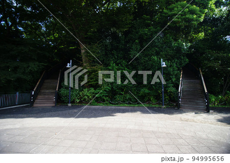 港の見える丘公園 フランス山地区山頂への階段 港の見える丘公園 フランス山地区山頂への階段 94995656
