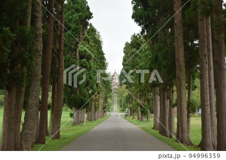 一本道の先にある建物 一本道の先にある建物 94996359