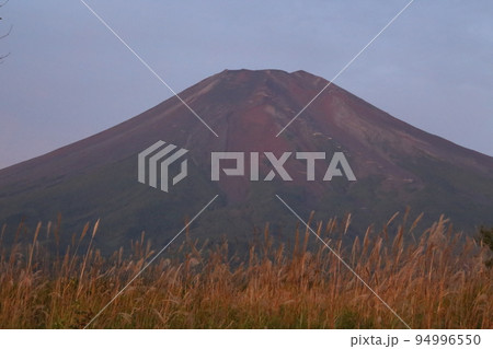 早朝の富士山 94996550