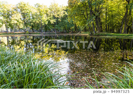 Green lawn in city park with swamp under daylight 94997325