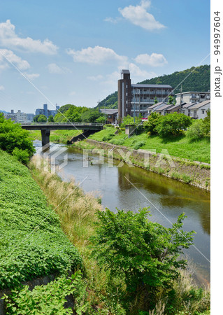 山科川(京都市山科区 ) 94997604