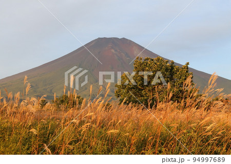 早朝の富士山 早朝の富士山 94997689