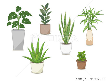 Set of ornamental plants illustration. 94997988