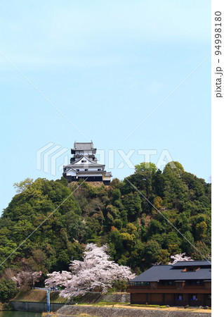 春の犬山市、犬山城と桜の風景 春の犬山市、犬山城と桜の風景 94998180