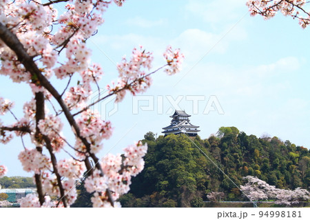 春の犬山市、犬山城と桜の風景 春の犬山市、犬山城と桜の風景 94998181