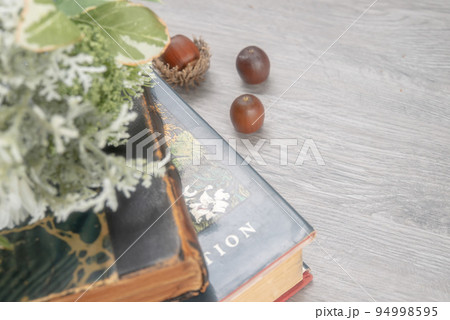 秋のゆったりとした時間を過ごす読書 秋のゆったりとした時間を過ごす読書 94998595