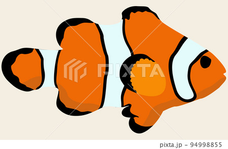 Vector illustration of orange marine exotic fish. Clown fish. Isolated on light beige background. 94998855