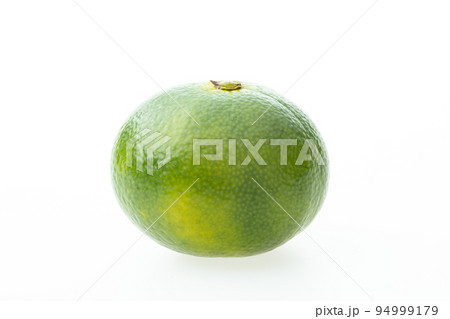 青みかん（早生みかん）　 94999179