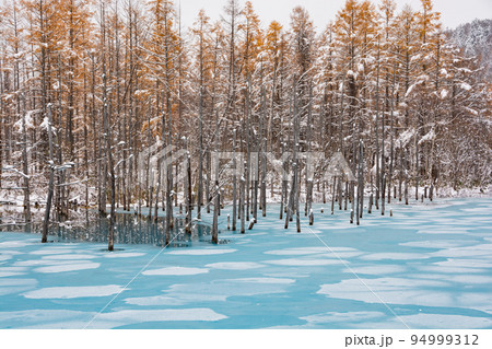 湖面が凍り始めた青い池　美瑛町 94999312