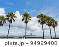 夏　日間賀島　サンライズビーチのヤシの木 94999400