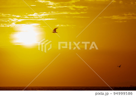 太平洋を染める夕陽 太平洋を染める夕陽 94999586