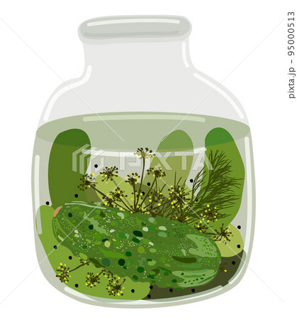 Glass jar of pickled cucumbers with dill and peppercorns. Vector isolated illustration. 95000513