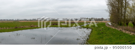 Panoramic view over the polder nature landscape 95000550