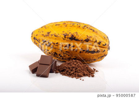 cocoa powder with cocoa pods and chocolate bars  isolated on white background. 95000587