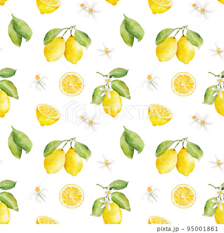 Watercolor seamless pattern with lemons and flowers isolated on white background. Watercolor seamless pattern with lemons and flowers isolated on white background. 95001861