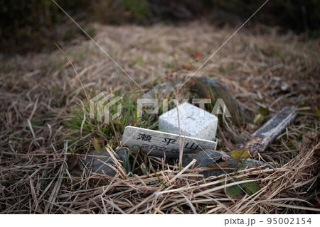 佐伯市(米水津村) 瀬平山 佐伯市(米水津村) 瀬平山 95002154