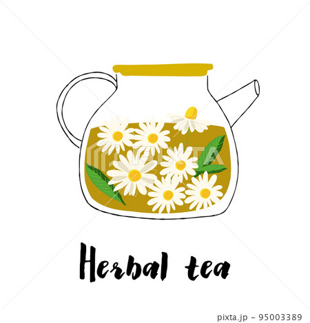 Illustration of a glass teapot with herbal 95003389