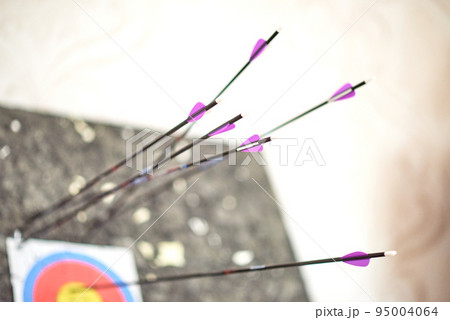 Carbon arrows 29 inches with purple plumage are stuck in a paper target and an isolon block catcher Carbon arrows 29 inches with purple plumage are stuck in a paper target and an isolon block catcher 95004064