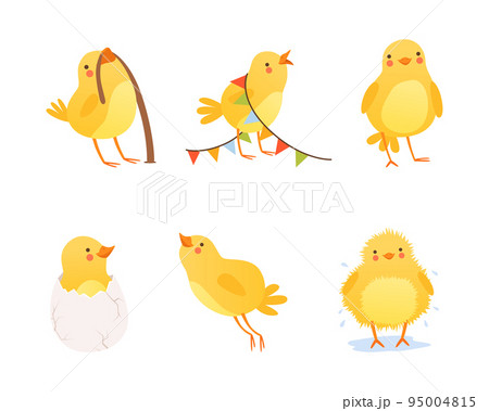 Cute Yellow Chick Engaged in Different Activity Vector Set Cute Yellow Chick Engaged in Different Activity Vector Set 95004815