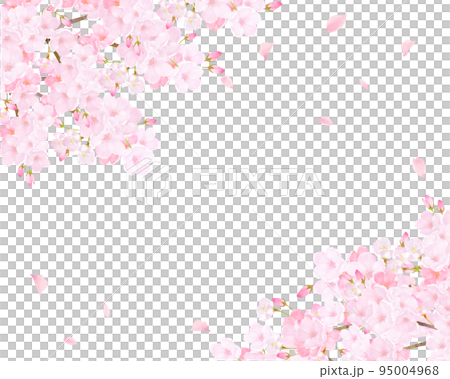 Beautiful and gorgeous light pink cherry blossoms in full bloom and spring white background frame vector material illustration Beautiful and gorgeous light pink cherry blossoms in full bloom and spring white background frame vector material illustration 95004968