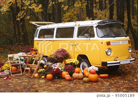 fall composition with old van, pumpkins, flowers and picnic chairs and table on the autumn forest background 95005189